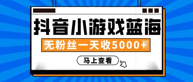 赚钱计划：抖音小游戏蓝海项目，无粉丝一天收入5000+-51资源库