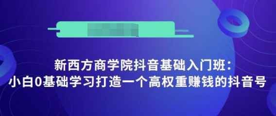 抖音基础入门班：小白0基础学习打造一个高权重赚钱的抖音号-51资源库