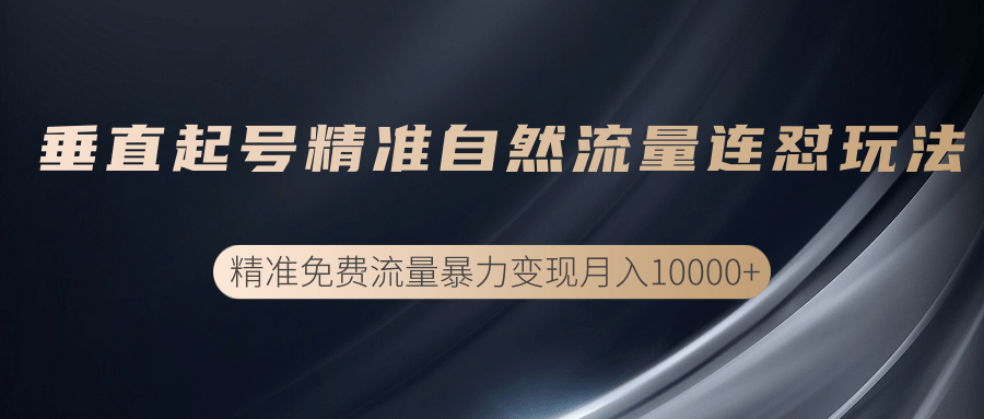 垂直起号精准自然流量连爆玩法，精准引流暴力变现月入10000+-51资源库