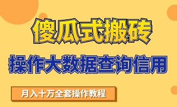 搬砖操作大数据查询信用项目赚钱教程，祝你快速月入6万-51资源库