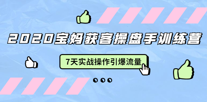 2020宝妈获客操盘手训练营：7天实战操作引爆 母婴、都市、购物宝妈流量-51资源库
