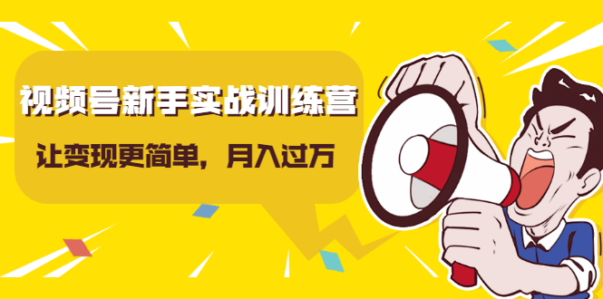 视频号新手实战训练营，让变现更简单，玩赚视频号，轻松月入过万-51资源库