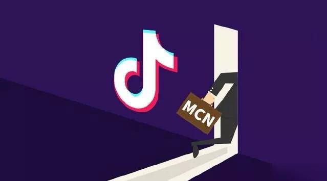 抖音MCN孵化课程，帮助商家拓客，帮助达人更好变现的课程，从0基础到超级IP-51资源库