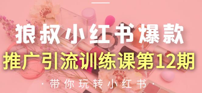 狼叔小红书爆款推广引流训练课第12期，手把手带你玩转小红书-51资源库