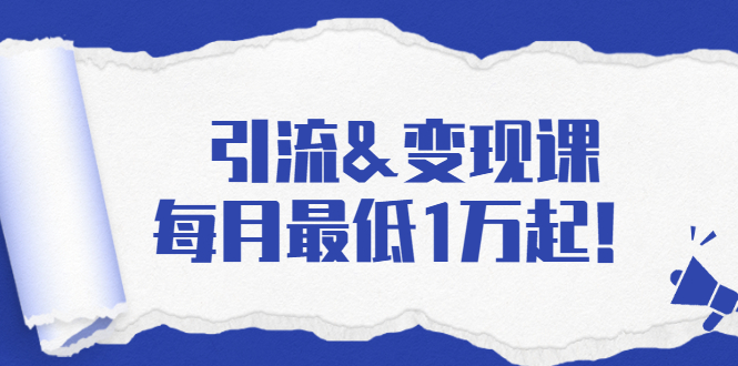 引流&变现课：分享一整套流量方法以及各个渠道收入，每月最低1万起！-51资源库