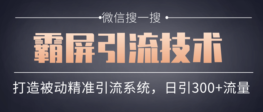 微信搜一搜霸屏引流技术，打造被动精准引流系统，轻松日引300+流量-51资源库