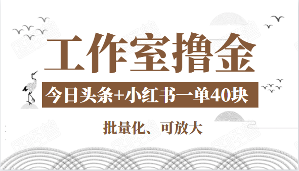 工作室撸金二件套：撸今日头条原创收益+小红书一单利润40块项目-51资源库