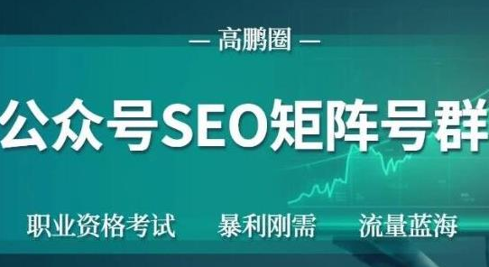 高鹏圈公众号SEO矩阵号群，实操20天纯收益25000+，普通人都能做-51资源库