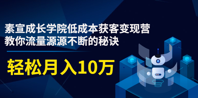 素宣成长学院低成本获客变现营，教你流量源源不断的秘诀，轻松月入10万-51资源库