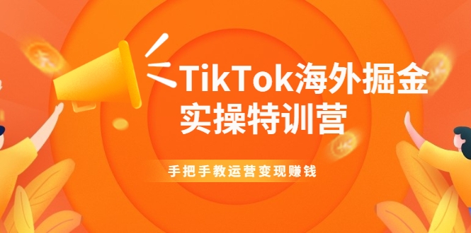 TikTok海外掘金实操特训营：手把手教运营变现赚钱-51资源库