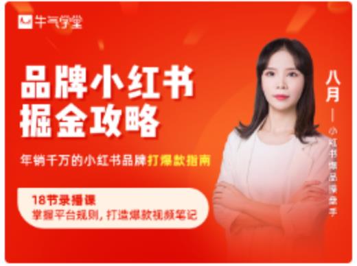 品牌小红书掘金攻略，年销千万的小红书品牌打爆款指南-51资源库