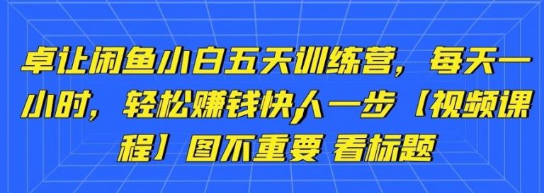 卓让闲鱼小白五天训练营，每天一小时，轻松赚钱快人一步-51资源库