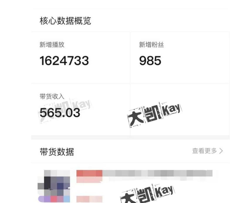 大凯进阶圈新玩法之拼多多视频玩法，利润大概一个号一天能有500~1500的左右!-51资源库
