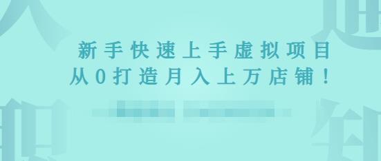 2022年虚拟项目实战指南，新手从0打造月入上万店铺-51资源库