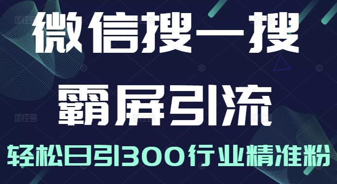 微信搜一搜霸屏引流课，打造被动精准引流系统，轻松日引300行业精准粉-51资源库