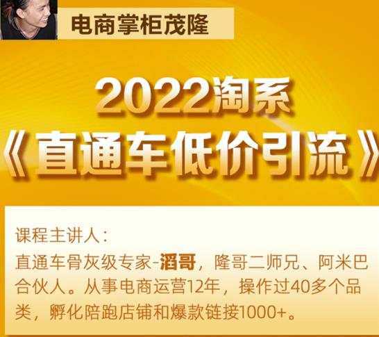 茂隆2022直通车低价引流玩法，教大家如何低投入高回报的直通车玩法-51资源库
