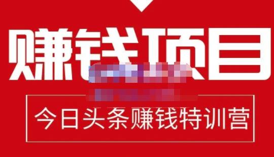 懒人领域·今日头条项目玩法，头条中视频项目，单号收益在50—500可批量-51资源库