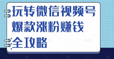 玩转微信视频号爆款涨粉赚钱全攻略，让你快速抓住流量风口，收获红利财富-51资源库