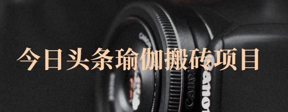 猎人社区·今日头条瑜伽搬砖项目，单号一天几十收入，可以批量操作！-51资源库