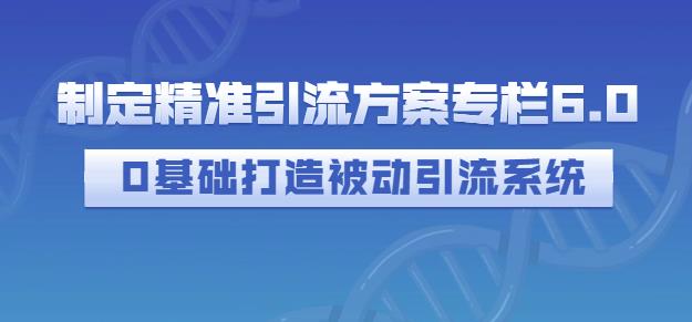 制定精准引流方案专栏6.0，0基础打造被动引流系统-51资源库