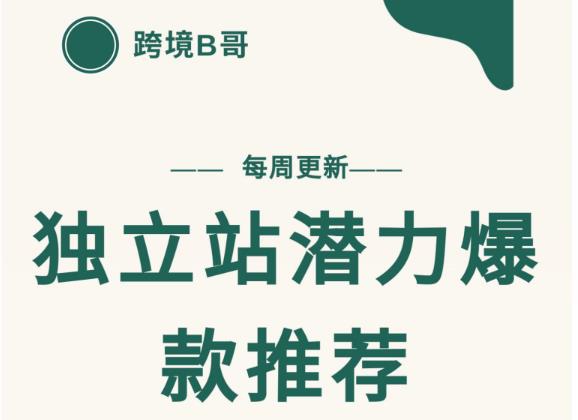 【跨境B哥】独立站潜力爆款选品推荐，测款出单率高达百分之80-51资源库