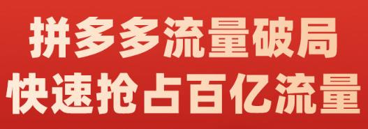 阿杰·拼多多流量破局:如何打黑标，爆款的思路，拼多多流量框架，快速抢占百亿流量-51资源库