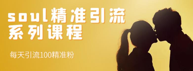 soul精准引流系列课程，每天引流100精准粉-51资源库