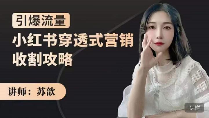 苏歆：小红书穿透式营销收割攻略，引爆流量，助你玩转小红书-51资源库