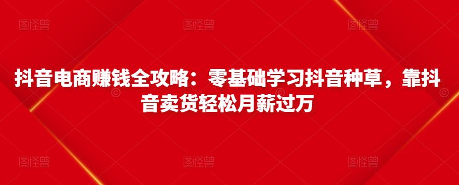抖音电商赚钱全攻略：零基础学习抖音种草，靠抖音卖货轻松月薪过万-51资源库