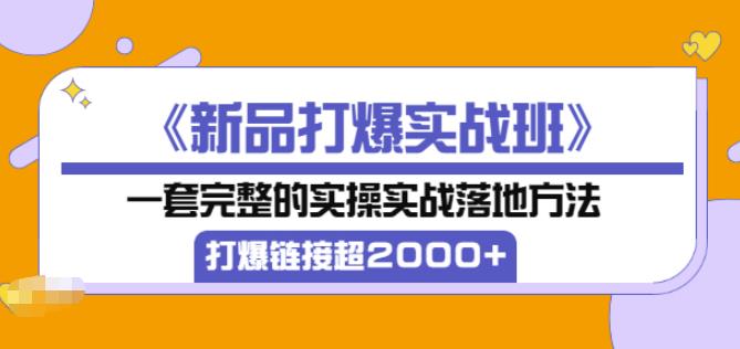凌童《新品打爆实战班》,一套完整的实操实战落地方法，打爆链接超2000+（28节课)-51资源库