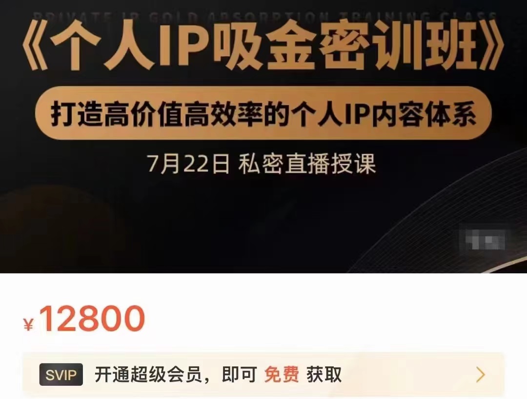 个人IP吸金密训班，打造高价值高效率的个人IP内容体系（价值12800元）-51资源库