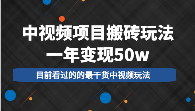 中视频项目搬砖玩法，一年变现50w，目前看过的的最干货中视频玩法-51资源库
