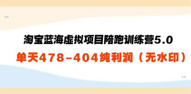 淘宝蓝海虚拟项目陪跑训练营5.0：单天478纯利润-51资源库