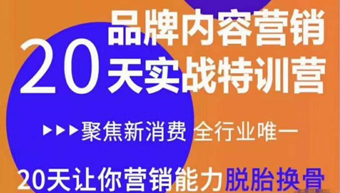 《内容营销实操特训营》20天让你营销能力脱胎换骨（价值3999）-51资源库