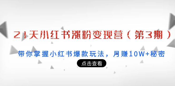 21天小红书涨粉变现营（第3期）：带你掌握小红书爆款玩法，月赚10W+秘密-51资源库