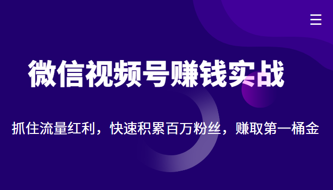 微信视频号赚钱实战：抓住流量红利，快速积累百万粉丝，赚取你的第一桶金-51资源库