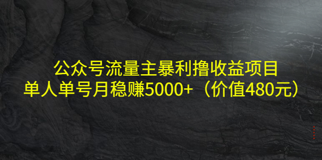 公众号流量主暴利撸收益项目，单人单号月稳赚5000+（价值480元）-51资源库