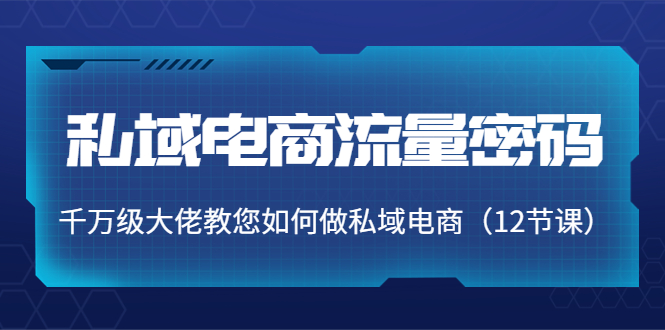 私域电商流量密码：千万级大佬教您如何做私域电商（12节课）-51资源库