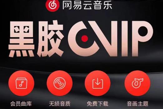 网易云音乐撸黑胶年卡及变现方法，收益可无限放大-51资源库