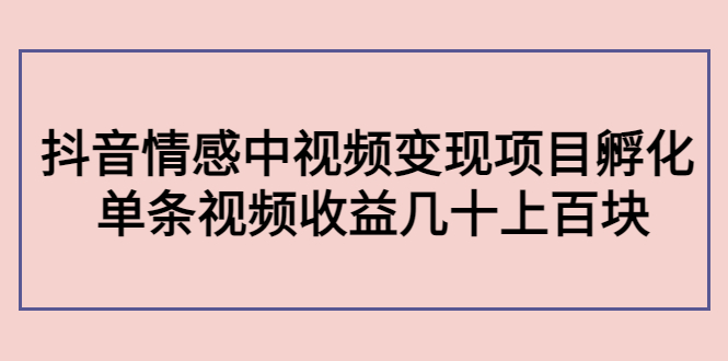 副业孵化营第5期：抖音情感中视频变现项目孵化 单条视频收益几十上百-51资源库