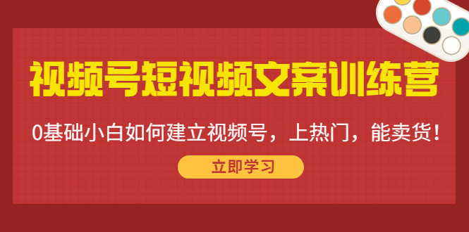 视频号短视频文案训练营：0基础小白如何建立视频号，上热门，能卖货！-51资源库