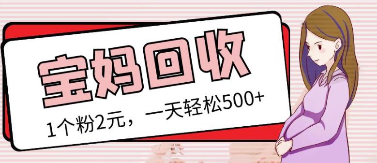 最新小红书母婴号宝妈粉回收项目，1个粉2元，一天轻松500+案例分享【粉丝包回收】-51资源库