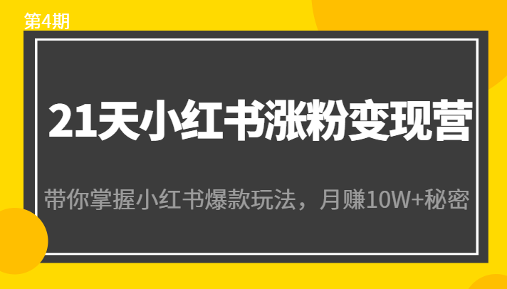 21天小红书涨粉变现营（第4期）：带你掌握小红书爆款玩法，月赚10W+秘密-51资源库
