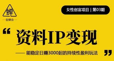 资料IP变现，能稳定日赚3000起的持续性盈利玩法-51资源库