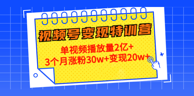 21天视频号变现特训营：单视频播放量2亿+3个月涨粉30w+变现20w+（第14期）-51资源库