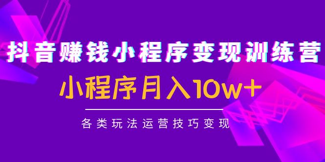 抖音赚钱小程序变现训练营：小程序月入10w+各类玩法运营技巧变现-51资源库