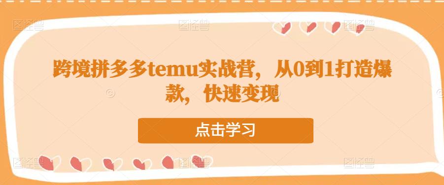 跨境拼多多temu实战营，从0到1打造爆款，快速变现-51资源库