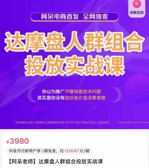 阿呆电商·达摩盘人群组合投放实战课，你以为推广不赚钱是技术问题，其实是你没有选好高价值消费客群-51资源库