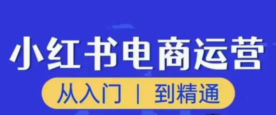 顽石小红书电商高阶运营课程，从入门到精通，玩法流程持续更新-51资源库