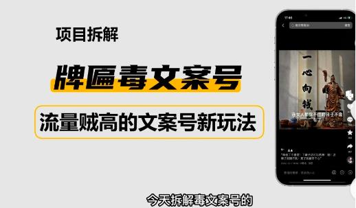 2023抖音快手毒文案新玩法，牌匾文案号，起号快易变现-51资源库